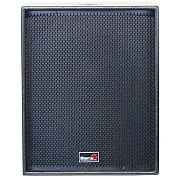 Biema T181B III 18 Inch 600 Watt Passive Subwoofer Speaker