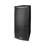 Biema T215AII Professional Passive Speaker