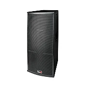 Biema T215AII Professional Passive Speaker