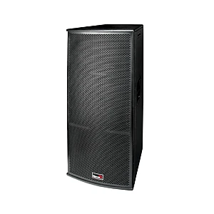 Biema T215AII Professional Passive Speaker