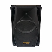 BOSSE Expert Audio LT15A Powered 15 inch with MP3 player