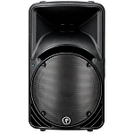Mackie C300z Passive Speaker