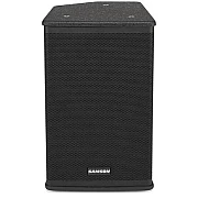 Samson RSX110 300W 10" 2-Way Passive Loudspeaker