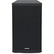 Samson RSX115 600W 15" 2-Way Passive Loudspeaker