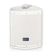 Soundking FT6 Speaker Coaxial