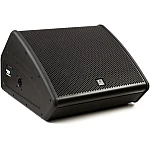 Turbosound TFM152M-AN 15" Flashline Series 2-way Stage Monitor