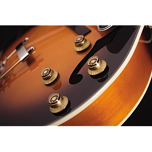 Toko Alat Musik Jual Semua Product Cort Terlengkap Original dan Termurah