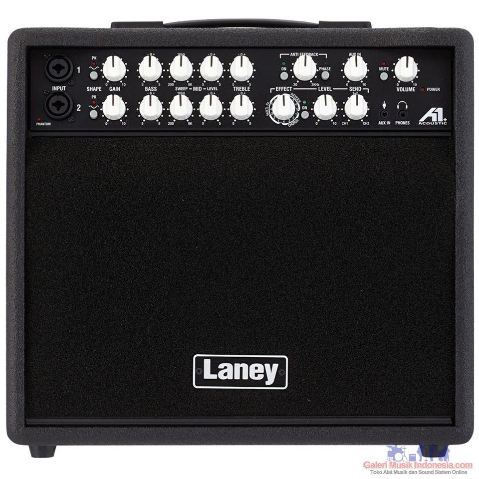 Jual Laney A W Acoustic Guitar Combo Amplifier Free