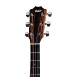 Taylor 214ce Walnut
