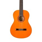 Washburn C5 Classical Guitar