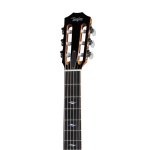 Taylor 814CE-N Grand Auditorium Acoustic Guitar