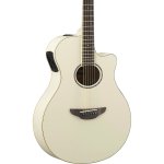 Yamaha APX600