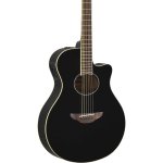 Yamaha APX600