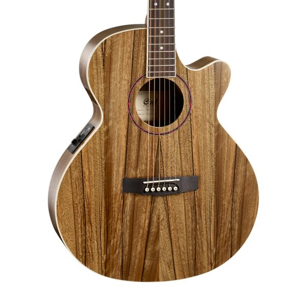 Cort SFX DAO NAT Acoustic Electric Guitar