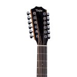 Taylor 150ce Dreadnought