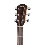 Taylor 114ce-S Acoustic
