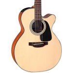 Takamine GX18CE-NS
