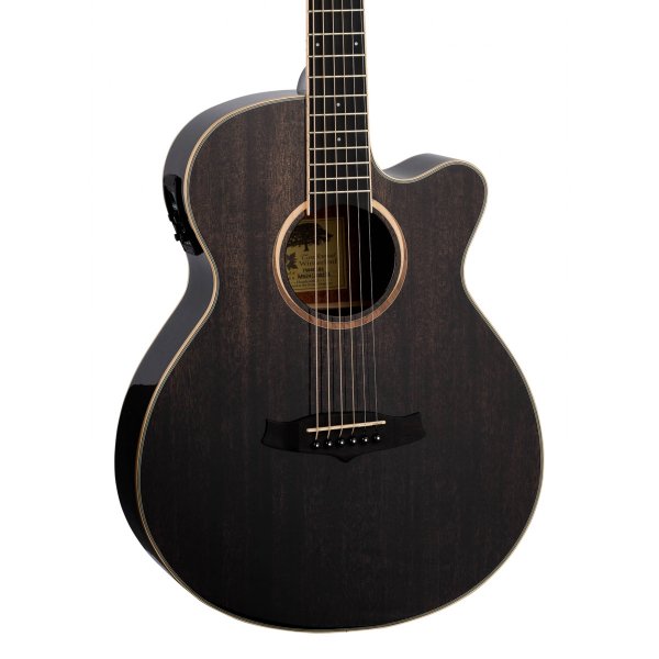 Tanglewood TW4 E BS