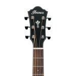 Ibanez AEG50