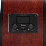 Ibanez AEG50