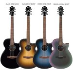 Ibanez AEG50