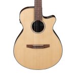 Ibanez AEG50N