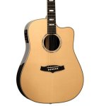 Tanglewood TW1000 HSRCE