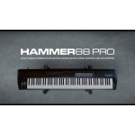 M Audio Hammer 88 Pro 88 Key USB/MIDI Controller - Gambar 2