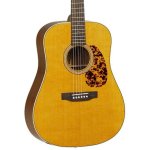 Tanglewood TW D AN E Dreadnought Acoustic Electric Guitars