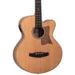 Tanglewood TRAB BW