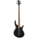 Cort Artisan B4 Element Fretless