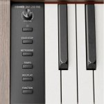 products DHP 200 Pro walnut volume