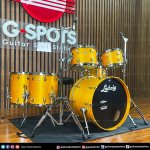 products LUDWIG NEUSONIC MOD2 GOLDEN SLUMBERS RIGHT