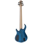 products M5 Swamp Ash 5 String TBL Back