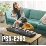 products PSRE283 portable