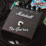 products The Guvnor fx