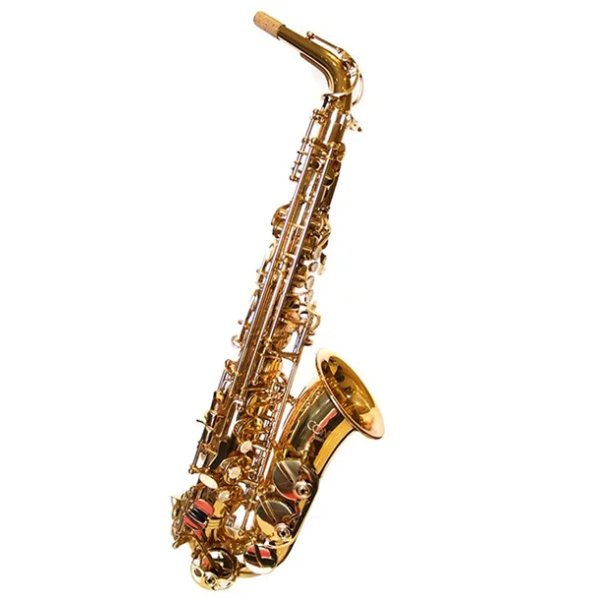 products conn selmer as651dir alto saxophone outfit a161395