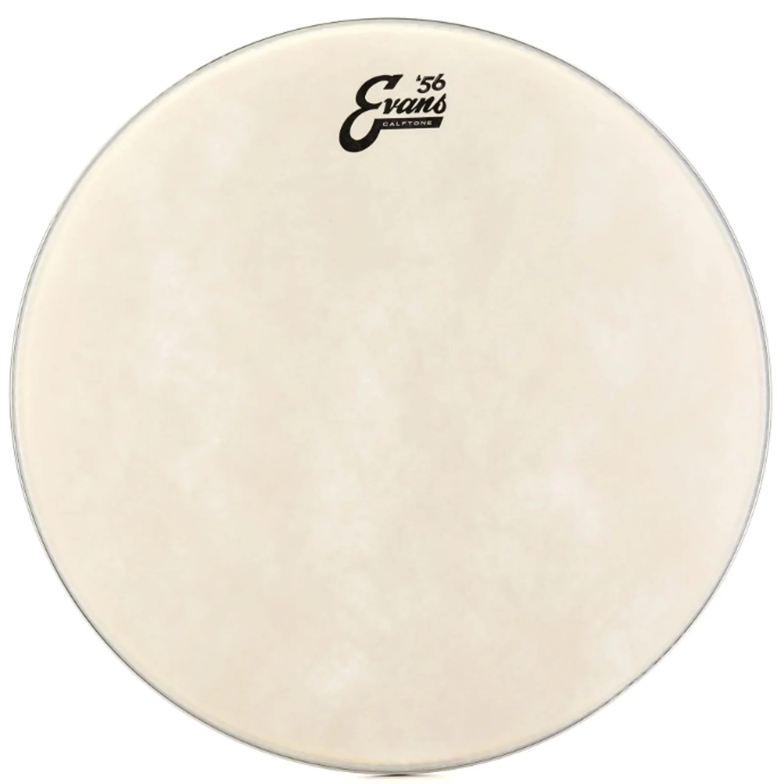 products evans tt16c7 16 inch calftone batter tom drumhead a158620 products evans tt16c7 16 inch calftone batter tom drumhead a158620