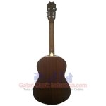 products hofmann ac100e nylon acoustic electric guitars a147407