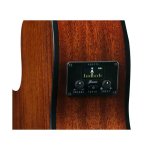 products ibanez aeg50n nylon string acoustic electric guitar a133337