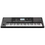 products korg pa300 61 key arranger keyboard a162008