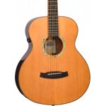 Tanglewood TRS1-E Rosewood Smart Solid Top Mini Folk Acoustic with Pickup in Natural Gloss