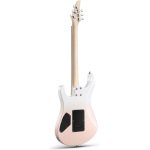 DMT 66 White Pink back