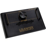 Hotone Loudster 75W Floor Amp