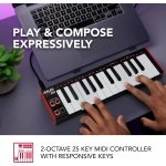 Akai LPK25 MK2 25 Key USB MIDI Keyboard Controller - Gambar 5