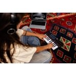 Akai MPK mini MK4 25 Key MIDI Keyboard Controller, Black - Gambar 4