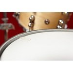 Vater buzz kill snare