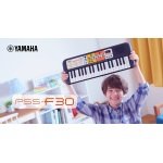 PSS F30 Portable keyboards boys