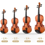 Stentor 1500SNA Student II Shaded Satin Finish Violin Outfit 4/4 Full Size - Gambar 3