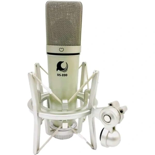 Dolphin sound ds 200 mk2 professional studio condenser microphone